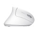 Trust Mouse Verto Ergonomic, WL, White (25132_TRUST)