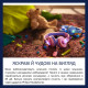 Наушники Philips Kids TAK4206 On-ear Colored light panels Wireless Pink (TAK4206PK/00)