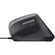 Trust Mouse Bayo 2 Ergonomic, USB-A, black (25144_TRUST)