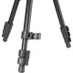 Штатив Vanguard Vesta Go 264AV12 (DAS303524)