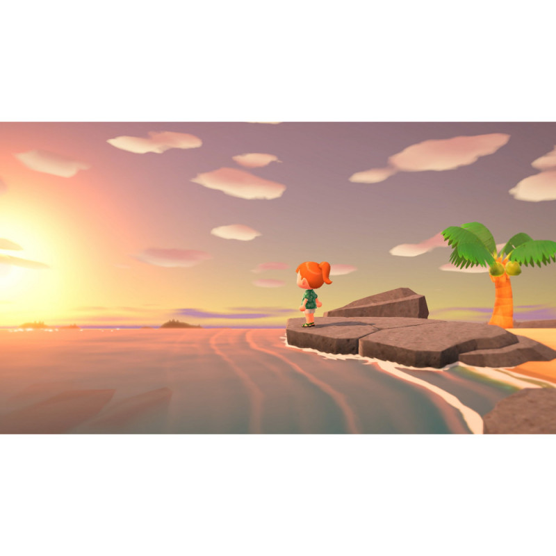 Games Software Animal Crossing: New Horizons (Switch) (45496425470)