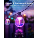 Govee H7025 Outdoor Clear Bulb String Lights, 15м, RGBIC/Warm White, WI-FI/Bluetooth, чорний (H7025CB1)