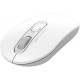 Мышка A4Tech FG20 White (4711421952613)