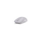 Мышка A4Tech FM12 White (4711421956741)
