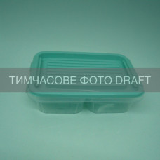 ARDESTO Контейнер двосекційний для зберігання харчових продуктів ARDESTO Fresh 2х0.25л, пластик, прямокутна, блакитний (AR1302B)