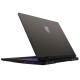 Ноутбук MSI Crosshair A17 HX (D8WGKG-049XUA)