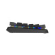 Клавиатура A4Tech FS100 RGB FS Switch USB Stone Black (4711421000567)
