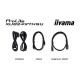 Монитор iiyama XUB2497HSU-W2