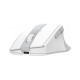 Мышка A4Tech FG35CS Plus Wireless White (4711421002998)