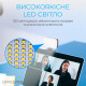 Настольная лампа OfficePro на монитор SL380B (SL380B)