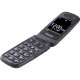 Мобильный телефон Panasonic KX-TU446 Grey (KX-TU446EXG)