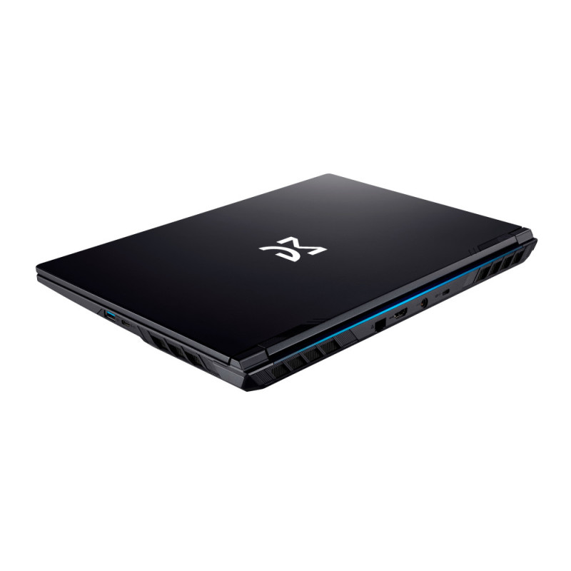 Dream Machines Notebook RG4060-15 15.6FHD IPS, Intel i9-14900HX, 32GB, F1TB, NVD4060-8, DOS, black