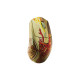 Мышка SteelSeries CS2 Dragon Lore Edition RGB Wireless/Bluetooth (62614)