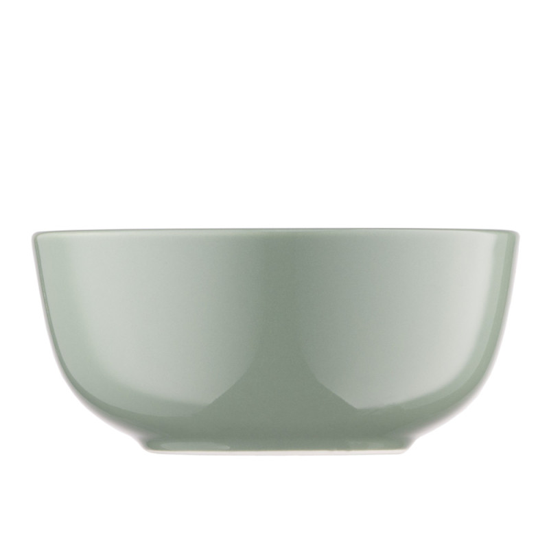 ARDESTO Bowl Capri, 510ml, 13.8cm, porcelain, green (AR0514CG)