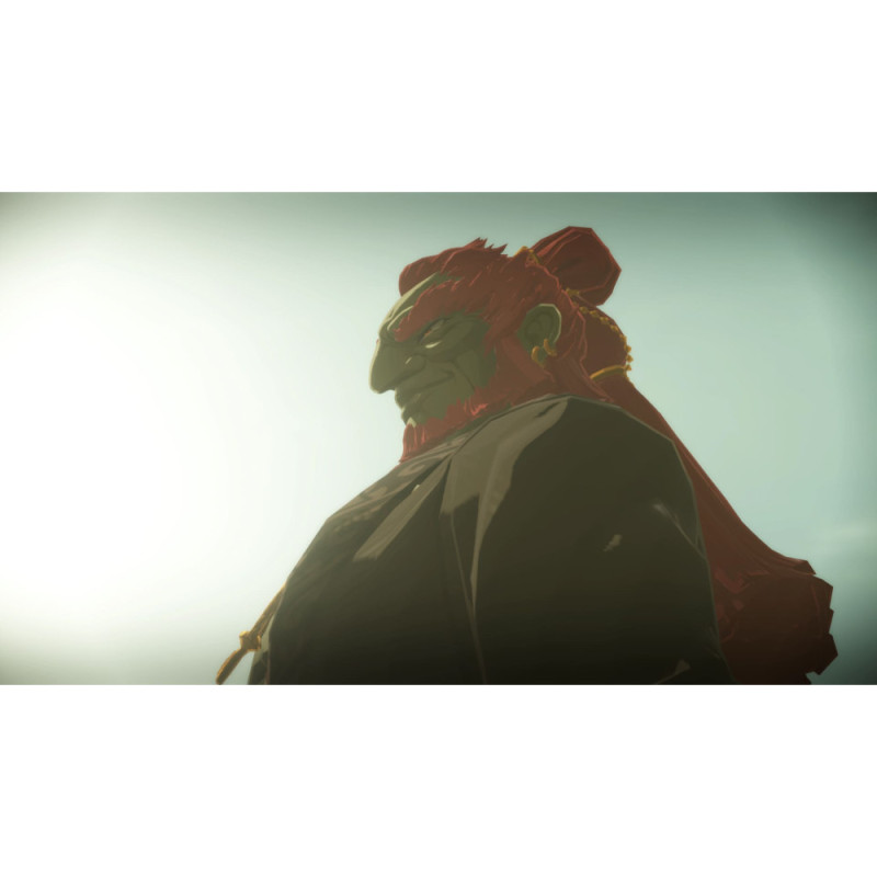 Games Software Гра консольна Switch 2 HYRULE WARRIORS AGE OF IMPRISONMENT, картридж (0045496313500)