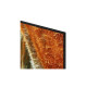 Телевизор Samsung QE75QN70FAUXUA