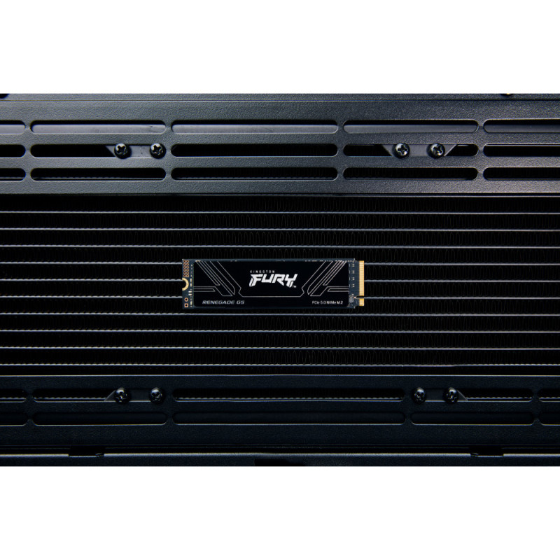 Kingston Накопичувач SSD Kingston M.2 8TB PCIe 5.0 FURY Renegade (SFYR2D/8T1) Kingston Накопичувач SSD Kingston M.2 8TB PCIe 5.0 FURY Renegade (SFYR2D/8T1)