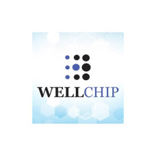 Чип для картриджа OKI C8600/8800, Black, 6K Wellchip (COKIC8600K)