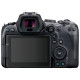 Canon EOS R6 + RF 24-105 f/4.0-7.1 IS STM