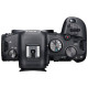 Canon EOS R6 + RF 24-105 f/4.0-7.1 IS STM