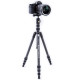 Штатив Vanguard Vesta TB 204CB (DAS301490)