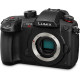 Panasonic Цифр. фотокамера DC-GH5S Body (DC-GH5SEE-K)